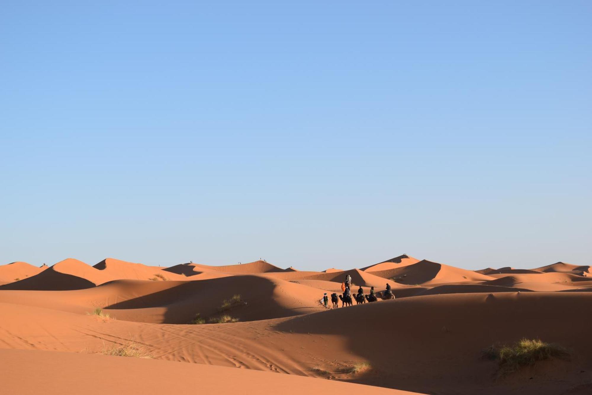 مرزوكة Hotel Riad Oasis المظهر الخارجي الصورة