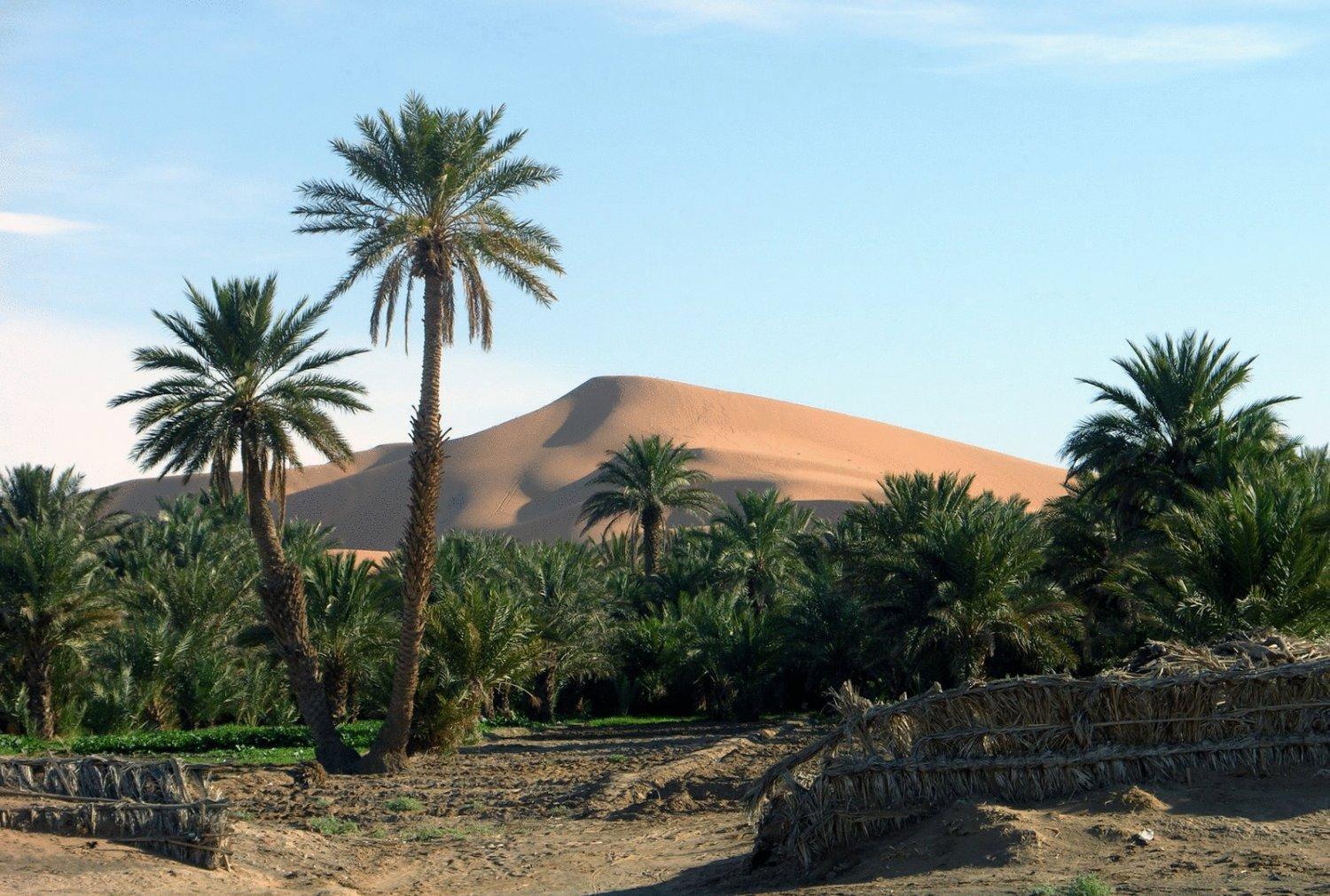 مرزوكة Hotel Riad Oasis المظهر الخارجي الصورة